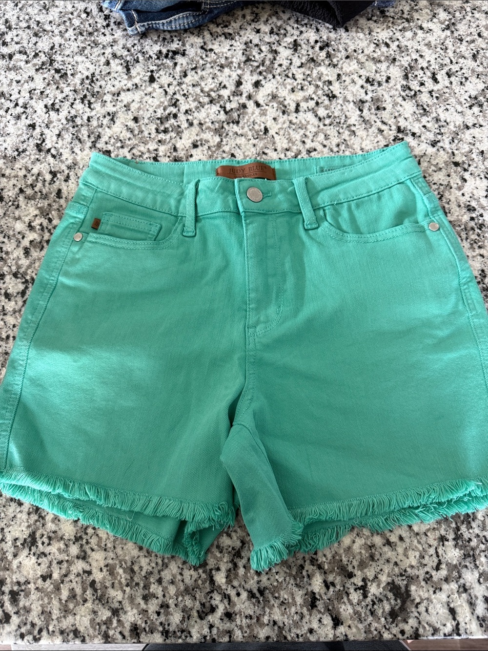 Women’s Mint Green Frayed Hem Judy Blue Shorts